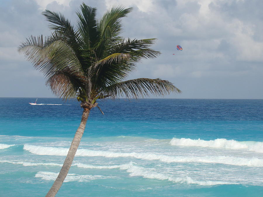 Cancun palm speed boat tour cancun