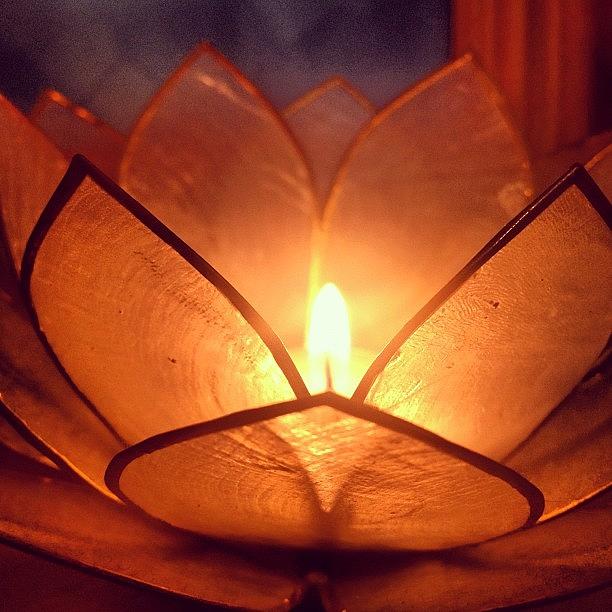 Flowers Still Life Photograph - #candle #candleholder #flames #burn by Tabitha Horton