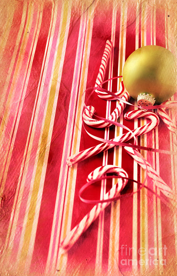 Candy Canes Photograph by HD Connelly