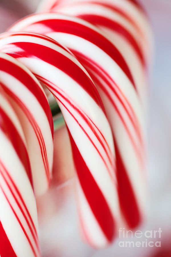 Candy Photograph - Candy Canes by Kim Fearheiley