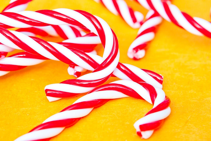 Winter Photograph - Candy canes by Tom Gowanlock