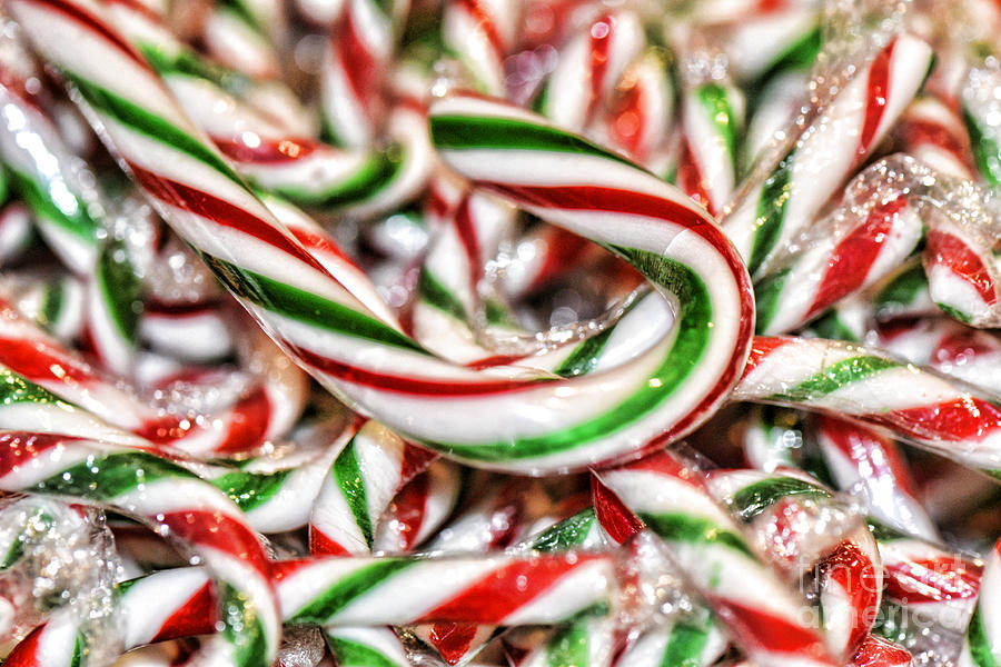 Candy Canes Photograph by Traci Cottingham