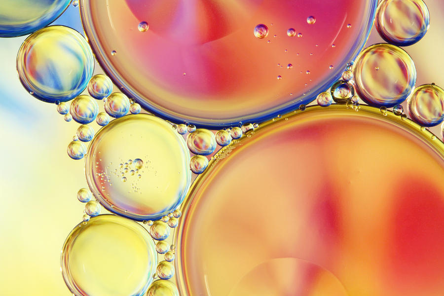Candy Coloured Oil and Water Drops Photograph by Sharon Johnstone