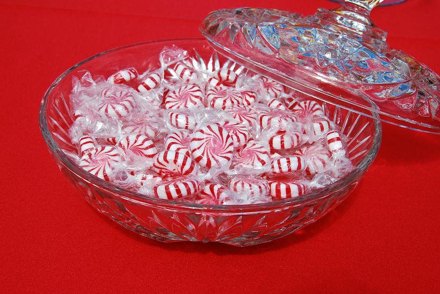 Candy Dish 2357 Photograph by Michael Peychich