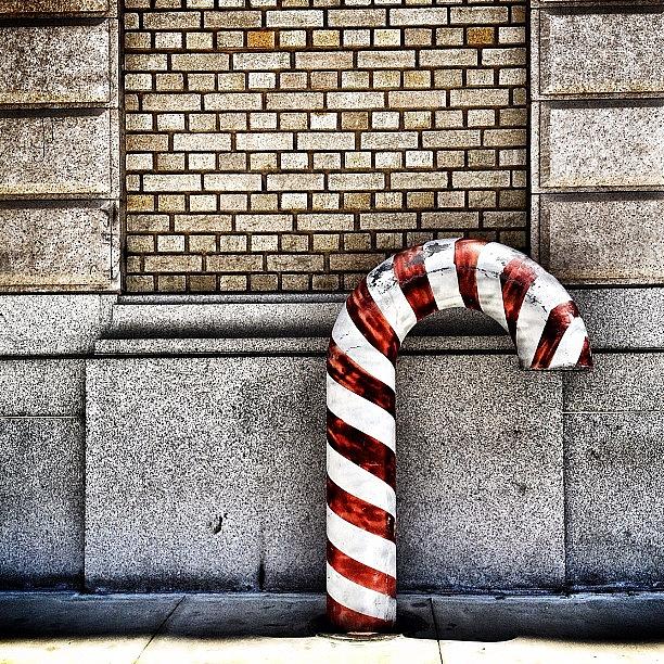 Candycane Grit Photograph by Christopher Leon