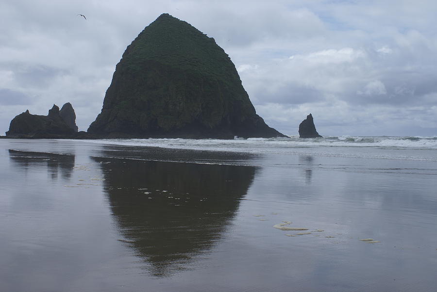Cannon Beach Photograph by Jerry Cahill