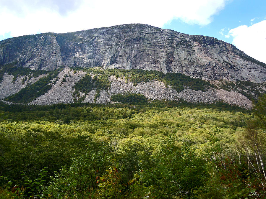 Cannon Cliff from Boise Rock New Hampshire Photograph by Nancy Griswold