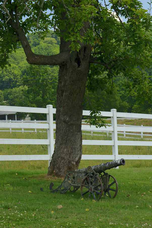 Tree Photograph - Cannon Tree and Fence by Douglas Barnett
