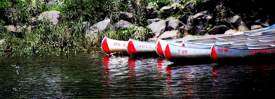 Canoe Rentals on the St Croix Photograph by Tam Graff
