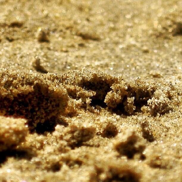 Nature Photograph - Cant Sleep... Counting Grains Of Sand by Mr. B