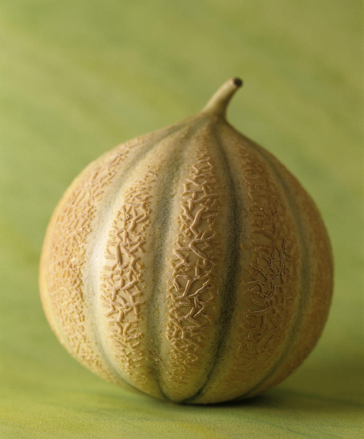 Still Life Photograph - Cantaloupe Melon by Veronique Leplat