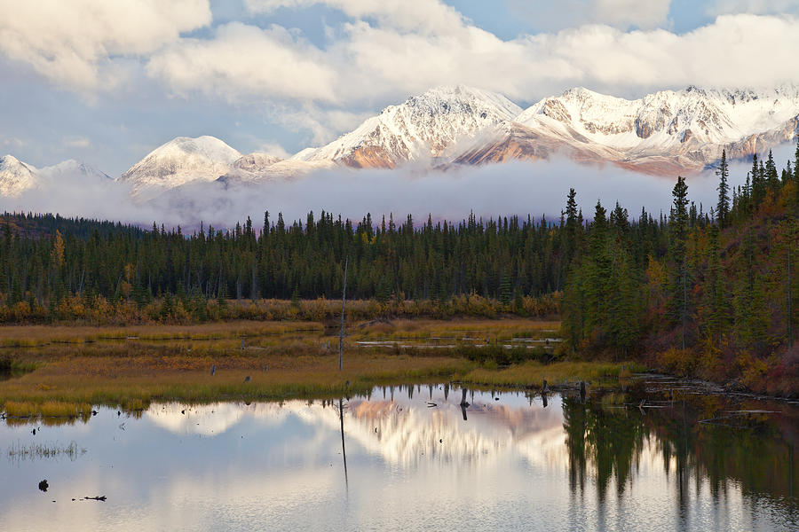 Mountain Photograph - Cantwell Alaska 2 by Chris Heitstuman