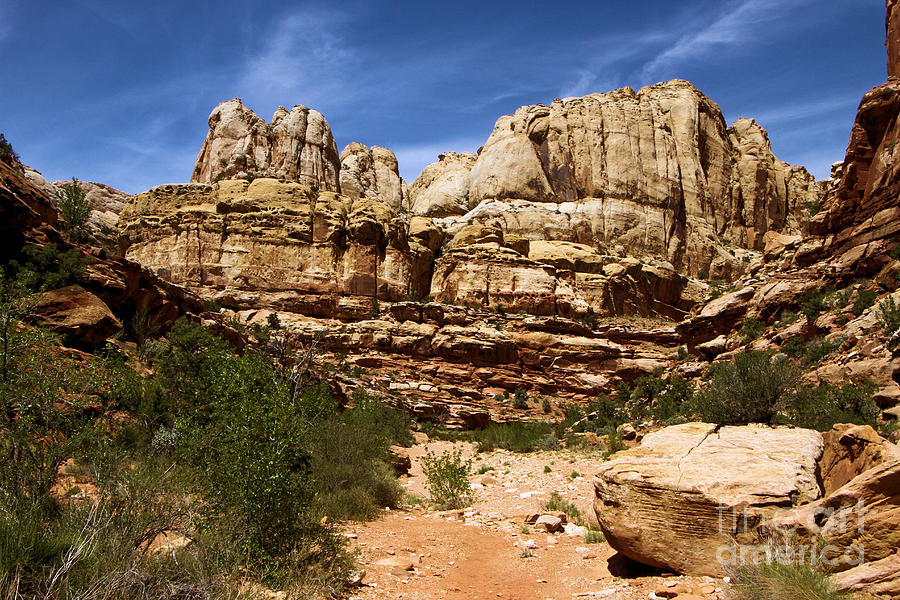 Capitol Reef National Park Photograph - Canyon Castle by Adam Jewell