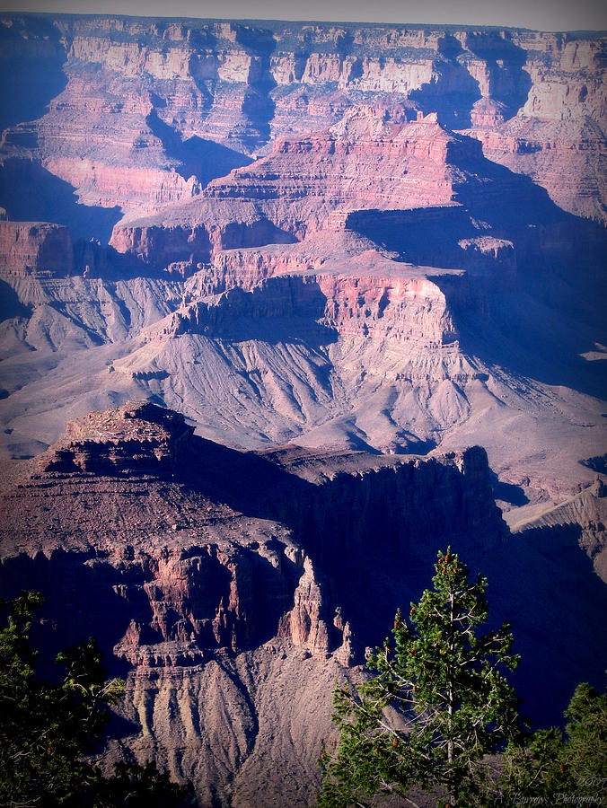 Canyon Mesas Photograph by Aaron Burrows