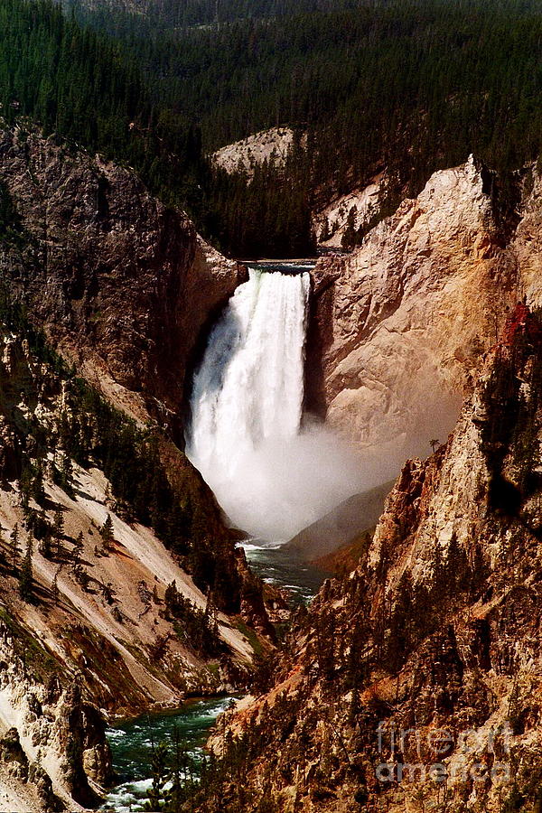 Canyon of Yellowstone Falls Photograph by Johanne Peale