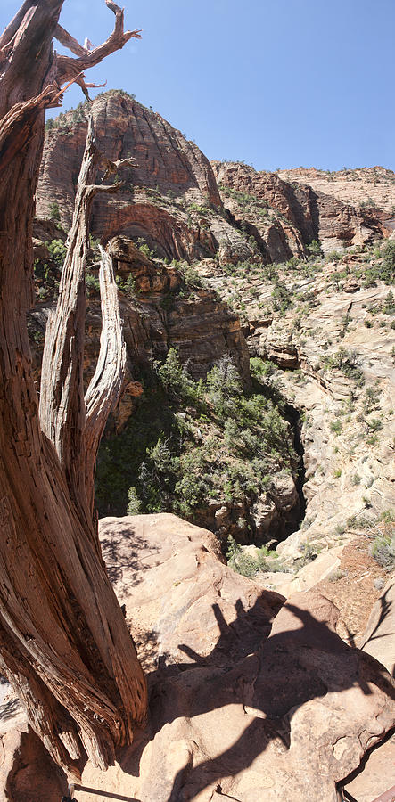 Canyon Overlook Trail Photograph by Gregory Scott