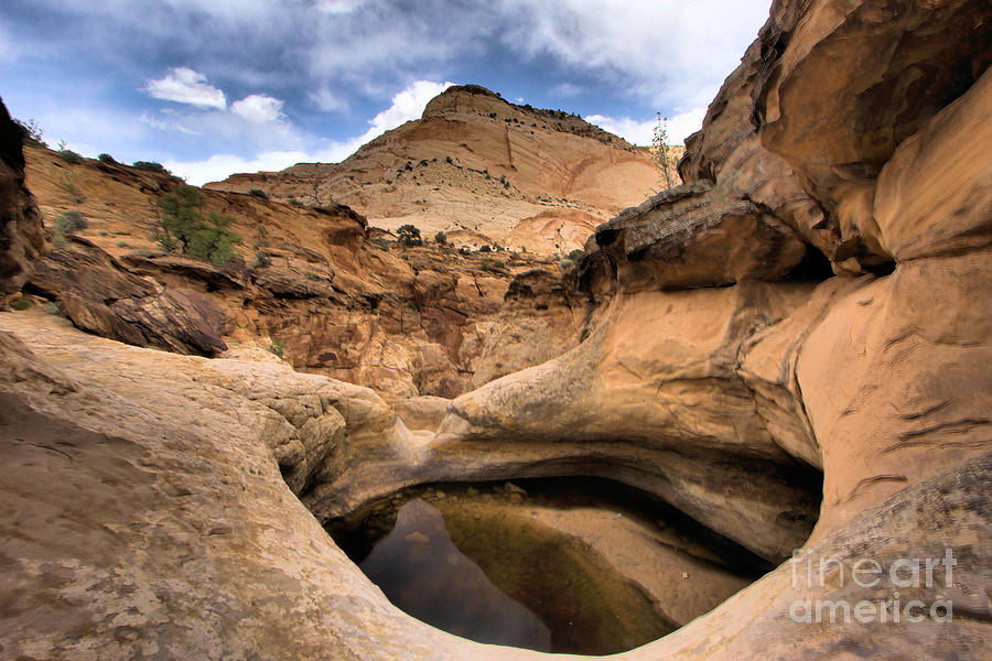 Canyon Pool Photograph by Adam Jewell