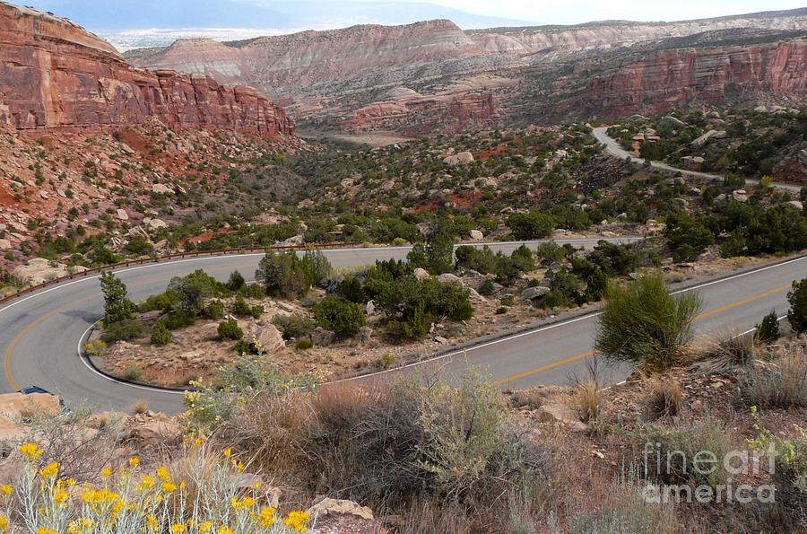 Mountain Photograph - Canyon Switchback by Ellen  Leigh
