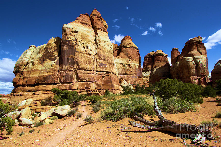 Canyonlands Chesler Park Photograph by Adam Jewell