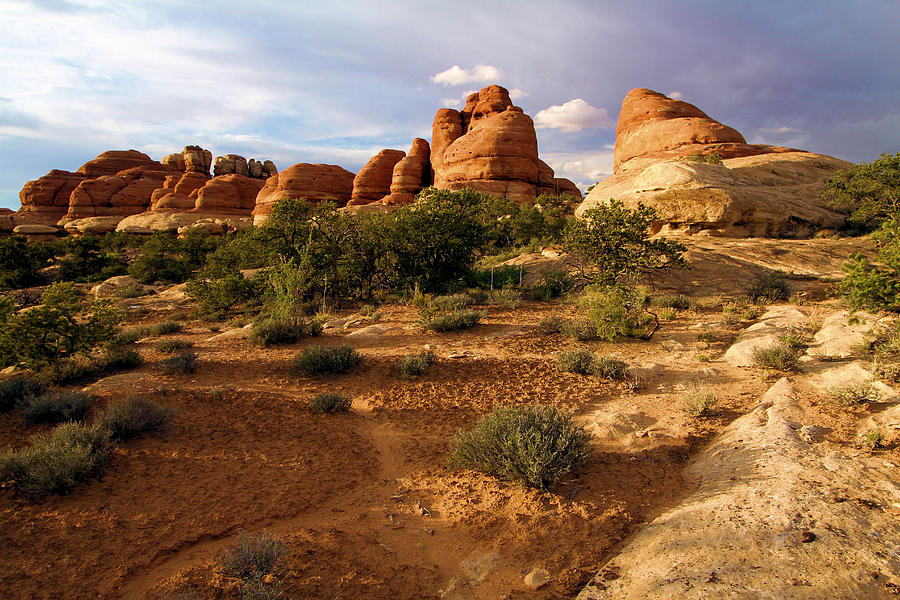 Canyonlands Needles District Photograph by Adam Jewell