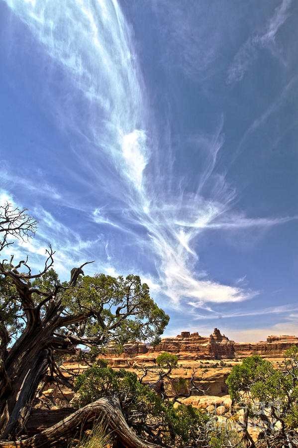 Canyonlands Serenade Photograph By Scotts Scapes Fine Art America