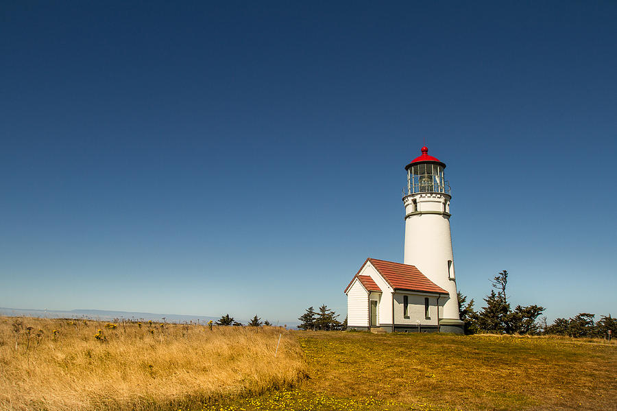 Cape Blanco Lighthouse Photograph by Randy Wood