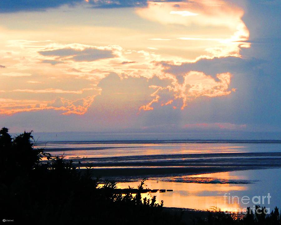 Sunset Photograph - Cape Cod Beach Brewster by Lizi Beard-Ward