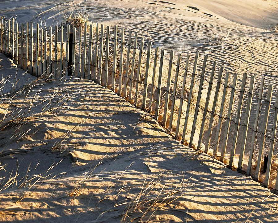 Cape Cod Beach Fence Photograph by Peggie Strachan