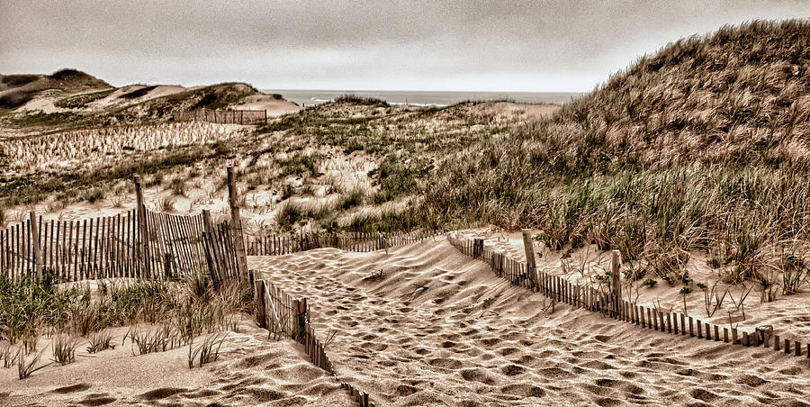Cape Cod Dunes Photograph by Fred LeBlanc