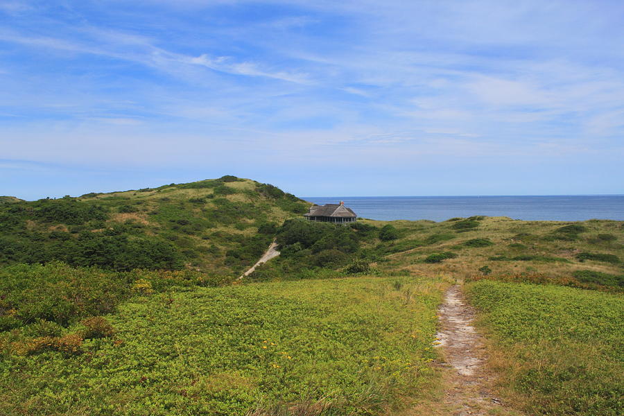 Cape Cod National Seashore Bearberry Hill View Truro Photograph by John Burk