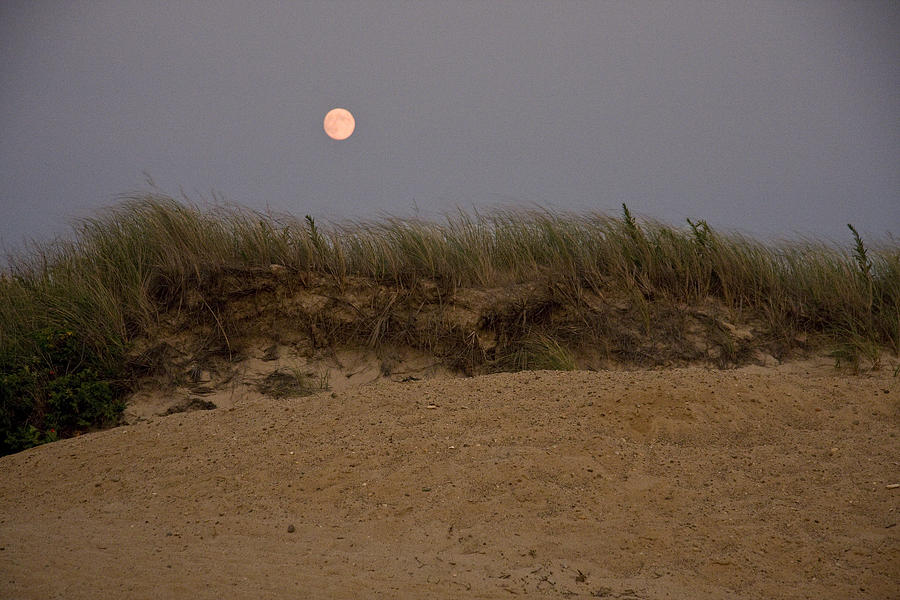 Cape Moonrise Photograph by Michael Friedman