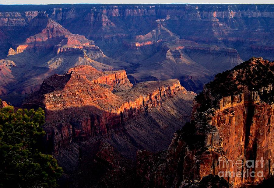 Grand Canyon National Park Photograph - Cape Royal Sunset by Charles Robinson