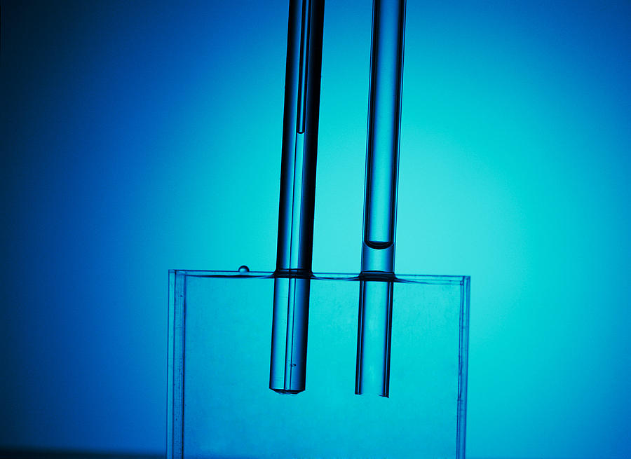 Capillary Action Of Water Photograph By Andrew Lambert Photography Pixels