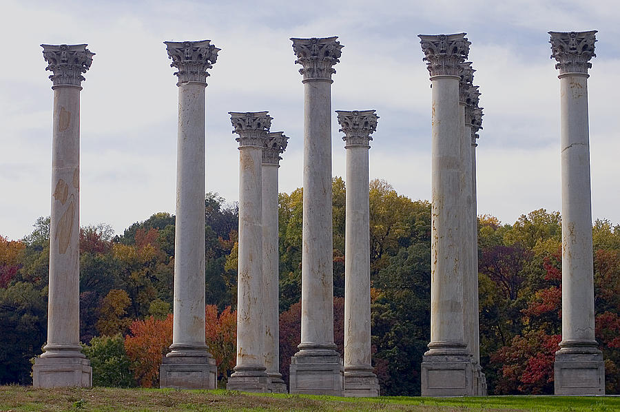 Capital Columns Photograph by Pat Exum