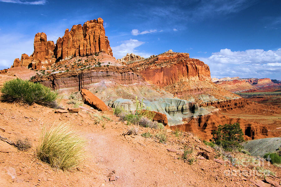 Capitol Reef National Park Photograph - Capitol Castle by Adam Jewell