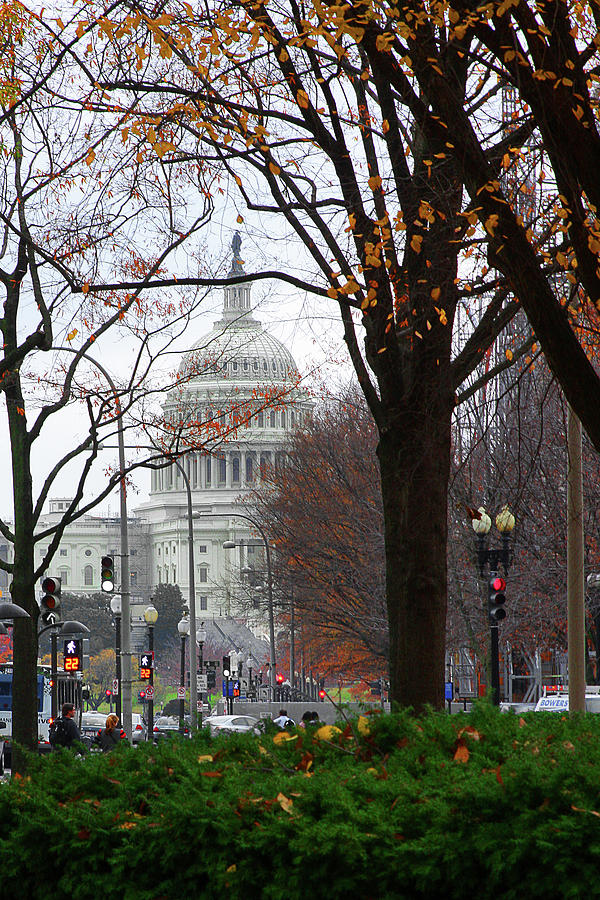 Capitol In The Fall Photograph by Burney Lieberman