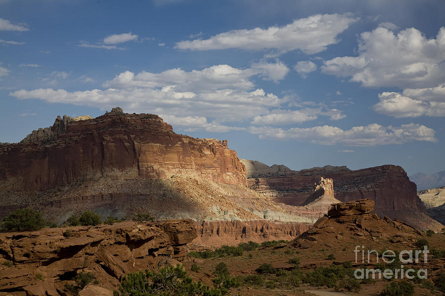 Capitol Reef Photograph by Timothy Johnson