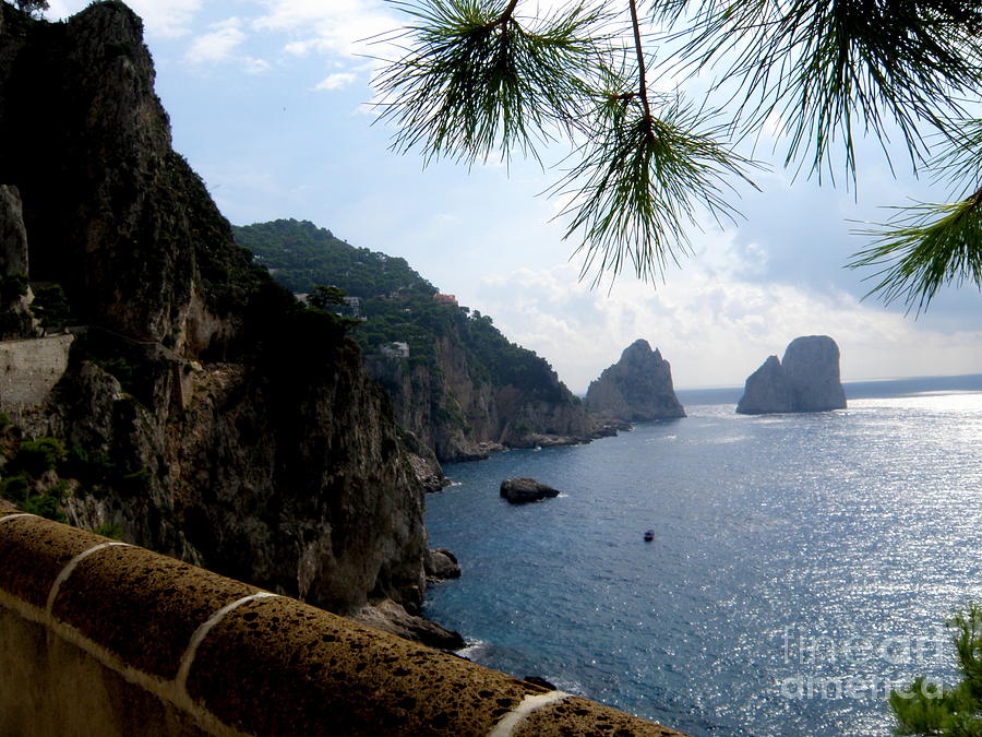 Capri  5 Photograph by Tatyana Searcy
