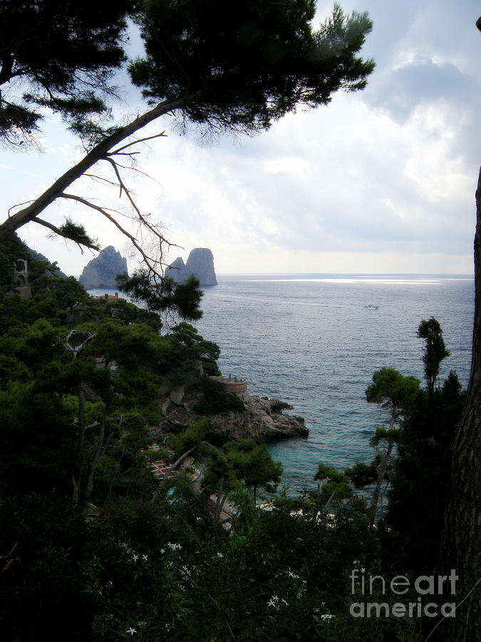 Capri  8 Photograph by Tatyana Searcy