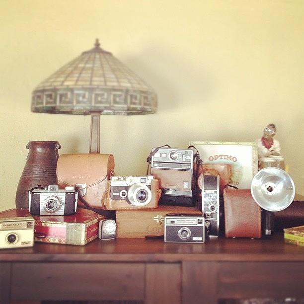 Vintage Cameras Photograph - Captured Collection by Krisd Mauga