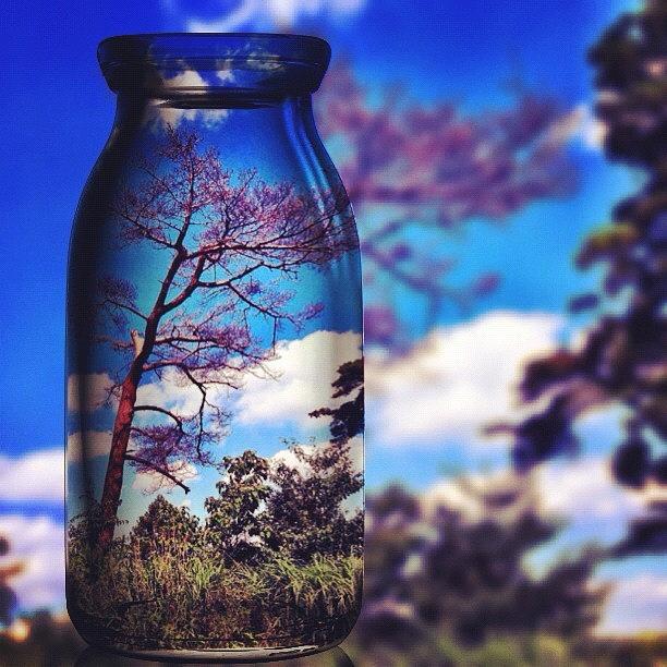 Nature Photograph - Capturing Mother Nature In A Bottle by Julianna Rivera-Perruccio