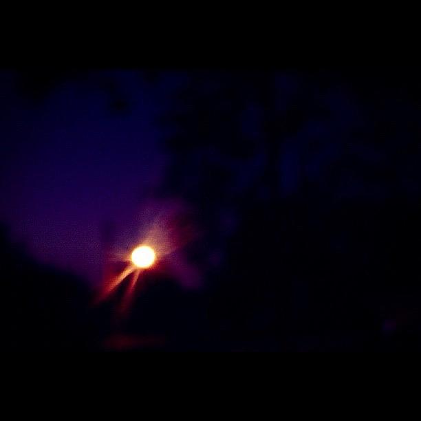 Nature Photograph - Capturing The Magic :) #moon #through by Caitlin Salvitti