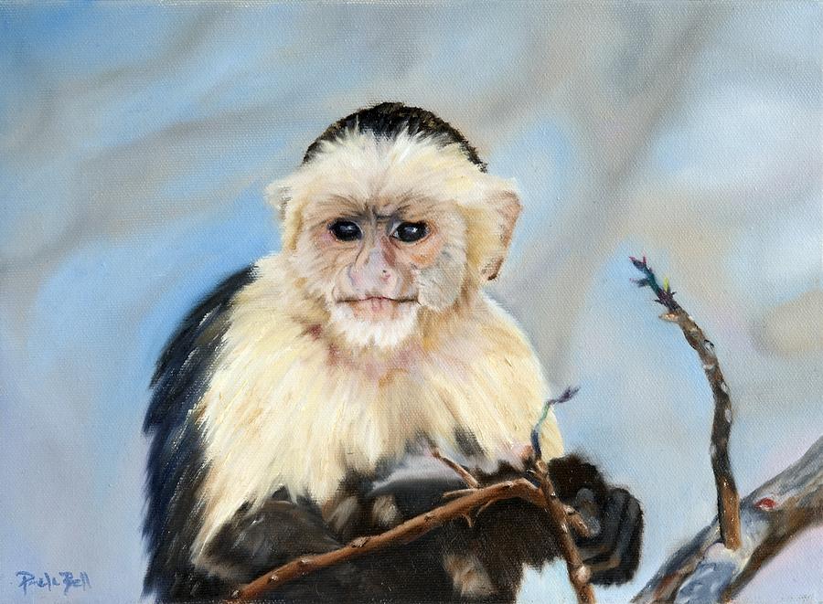 Wildlife Painting - Capuchin Monkey by Pamela Bell