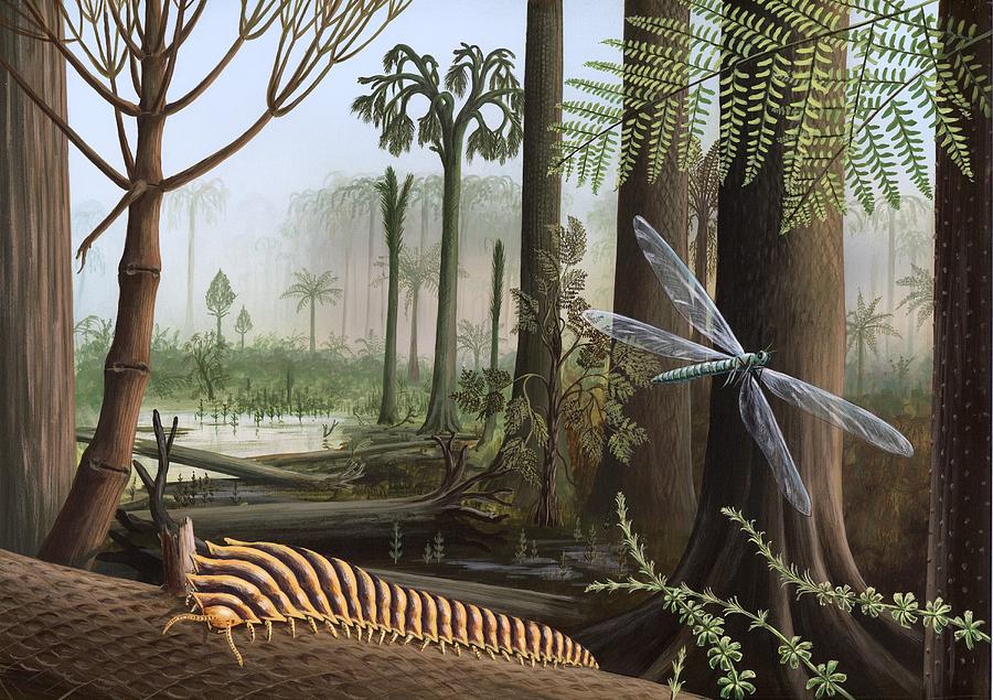 Carboniferous Insects, Artwork Photograph by Richard Bizley | Fine Art ...