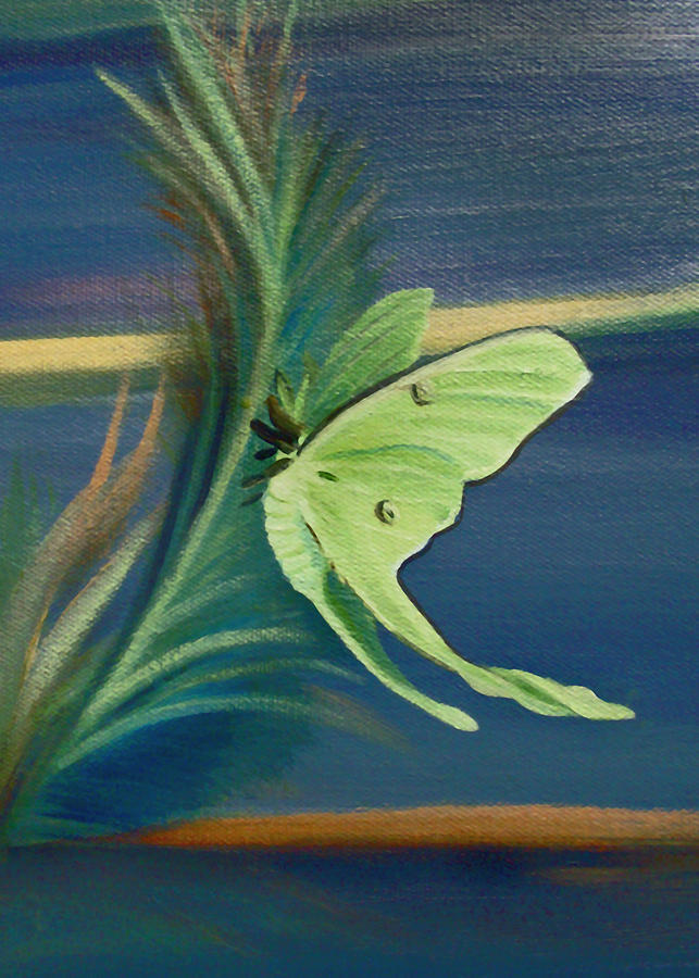 Card of Luna Moth Painting by Nancy Griswold
