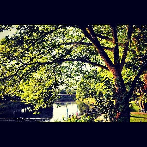 Summer Photograph - #cardiff #london2012 #olympics by Nerys Williams