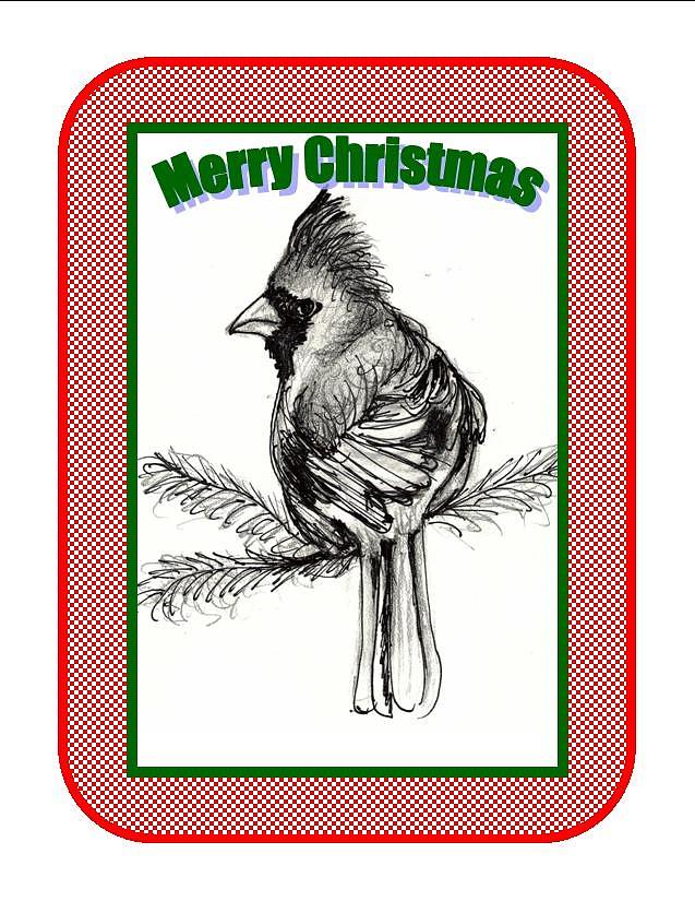 Cardinal Christmas Drawing by Carol Allen Anfinsen