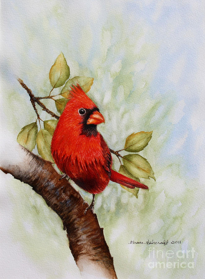 Painting a cardinal with my @grabieofficial Watercolor Paint Set