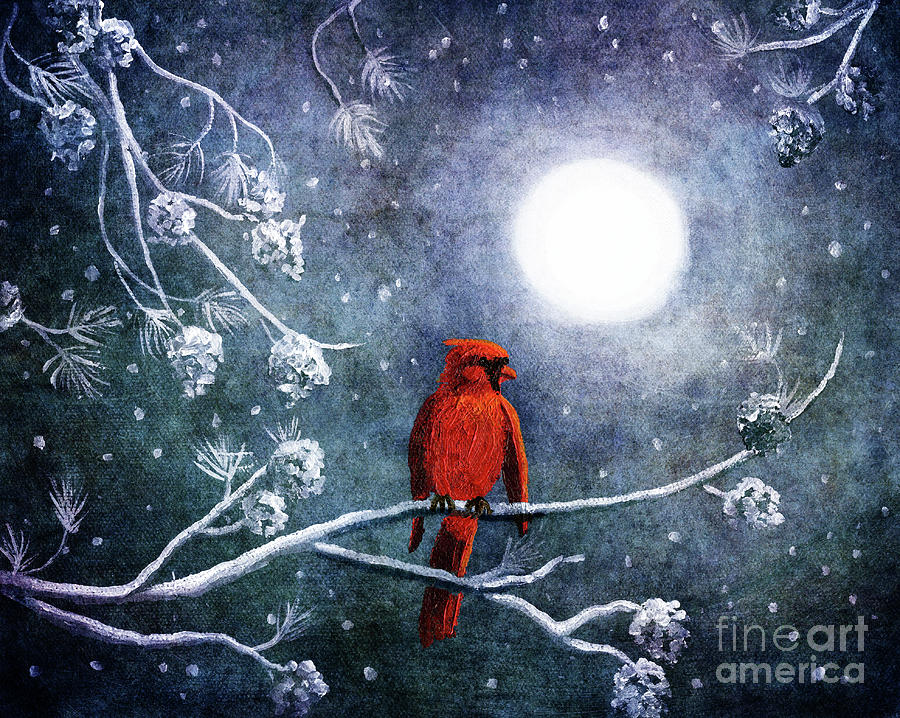 Cardinal on a Wintry Night Digital Art by Laura Iverson