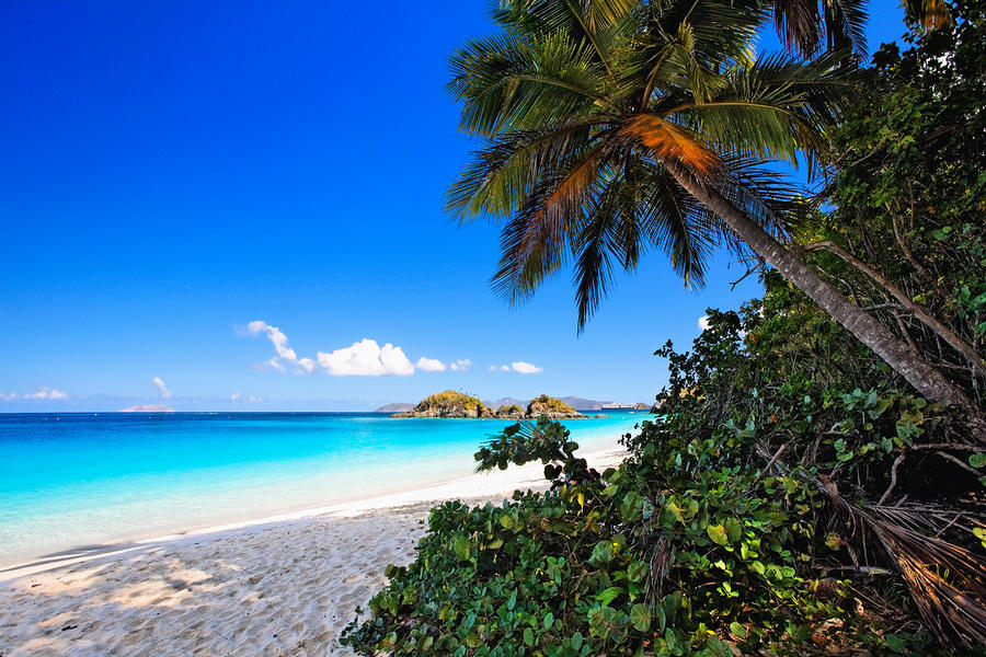 Caribbean Beach View From The Shade by George Oze